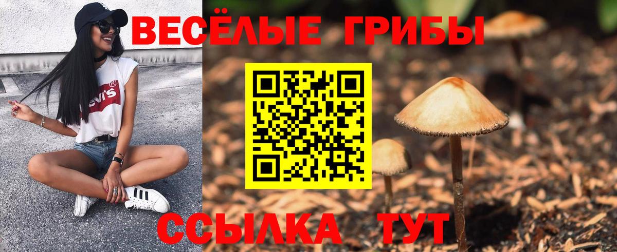 Псилоцибиновые грибы Psilocybe  Вход с VPN  Кулебаки 